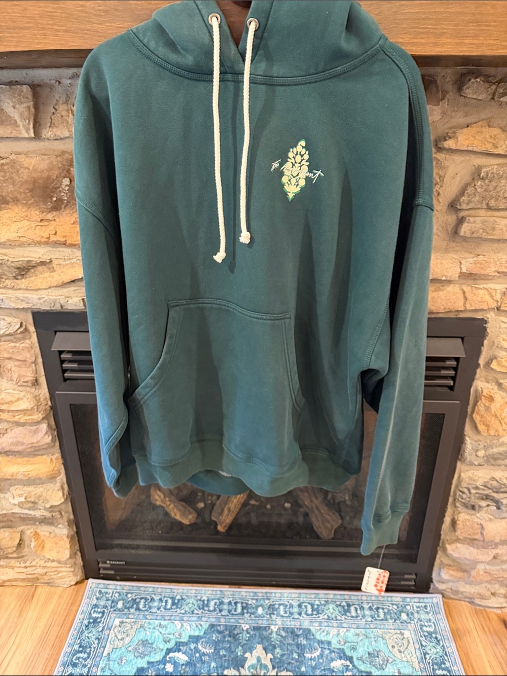 Free People Hoodie in Green